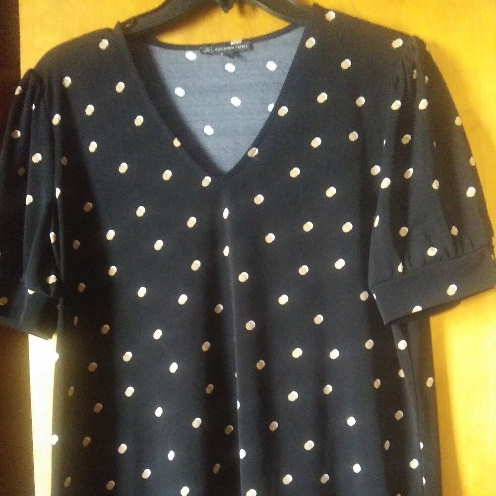 EUC Adrianna Papell top